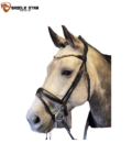 bridle-c-brown1